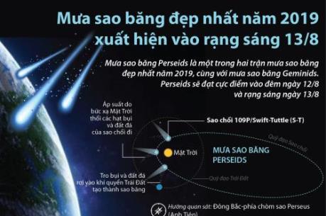 Mưa sao băng đẹp nhất năm 2019 xuất hiện vào rạng sáng 13/8