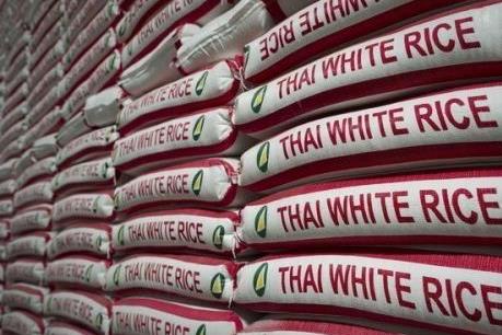 Thái Lan sắp tung Chương trình đảm bảo giá lúa gạo