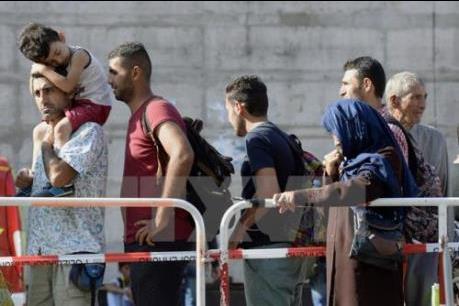 Hệ thống nhập cư kinh tế của Canada đang vận hành tốt trên nhiều mặt