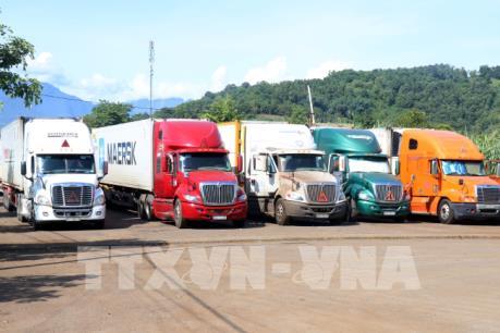 Hơn 500 xe container chở thanh long ùn tắc tại Cửa khẩu quốc tế Lào Cai