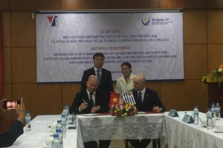 Cơ hội hợp tác thương mại giữa Việt Nam và Uruguay