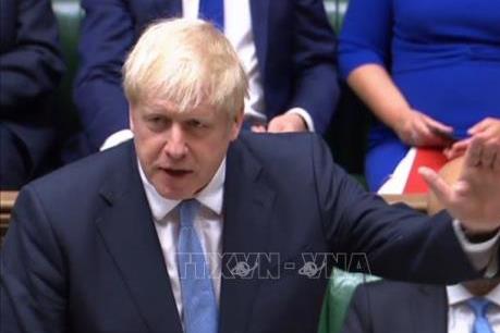 Anh mời thầu hợp đồng chuyển phát thuốc 30 triệu USD hậu Brexit