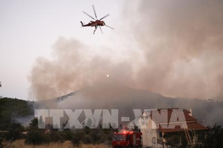 Cháy rừng dữ dội tại Hy Lạp 