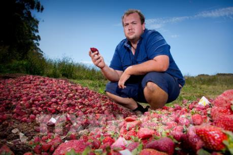 Australia thực hiện các hành động cần thiết để kinh tế phát triển