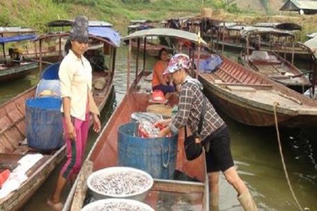 Sơn La phát triển mô hình chế biến nước mắm từ cá nước ngọt lòng hồ sông Đà