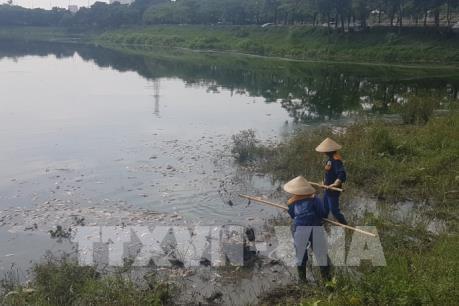 Nguyên nhân cá chết nổi hàng loạt trên mặt hồ Yên Sở, Hà Nội