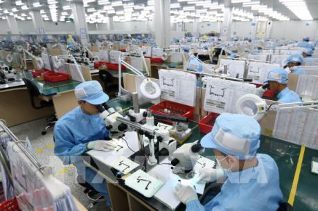 TP.HCM gia tăng số doanh nghiệp thành lập và dự án FDI cấp mới