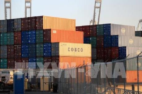 Nhà Trắng cân nhắc việc cắt giảm thuế để ngăn chặn nguy cơ suy thoái kinh tế