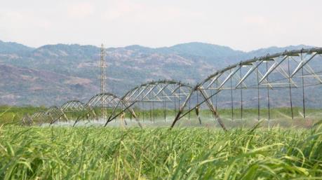 SBT muốn bán toàn bộ 61,6 triệu cổ phiếu quỹ