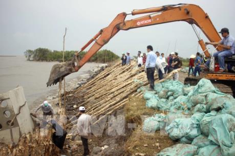 Cà Mau gấp rút xử lý sạt lở đê biển Tây