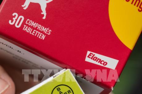 Bayer bán đơn vị kinh doanh thuốc thú y Animal Health với 7,6 tỷ USD