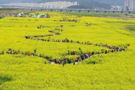 “Quên lối về” với những lễ hội đặc sắc tại đảo Jeju