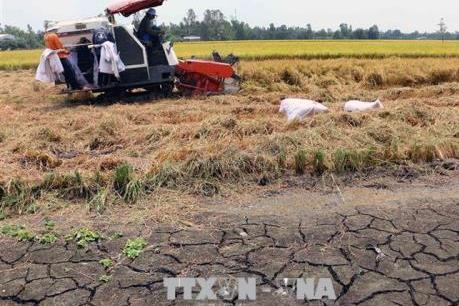 Dự báo thời tiết 4 ngày tới: Bắc Bộ mưa dông, Trung Bộ khô hạn
