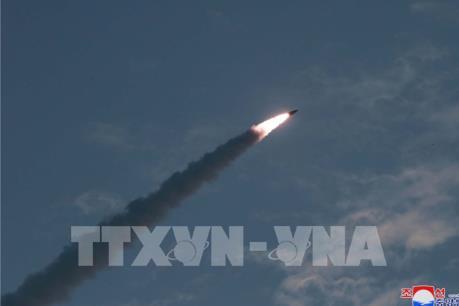 Nhật Bản: Triều Tiên dường như đã phóng tên lửa đạn đạo