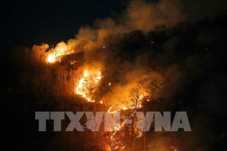 Số vụ cháy rừng ở Brazil xếp thứ ba toàn thế giới trong 48h qua