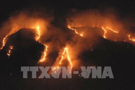 Rừng Amazon đang bị tàn phá nặng nề bởi những trận cháy lớn