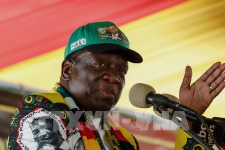 Châu Phi: Tranh cãi chưa có hồi kết về buôn bán ngà voi quốc tế