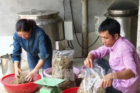 Người Việt ưu tiên dùng hàng Việt: Động lực đổi mới doanh nghiệp