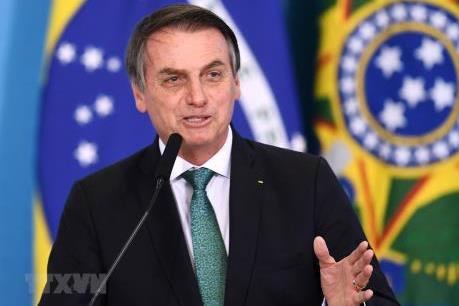 Brazil từ chối khoản hỗ trợ cứu rừng Amazon trị giá 20 triệu USD từ G7