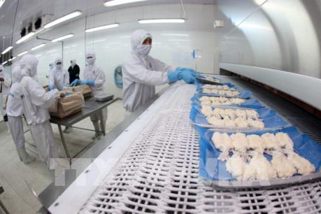 Dự báo tình hình xuất khẩu tôm những tháng cuối năm