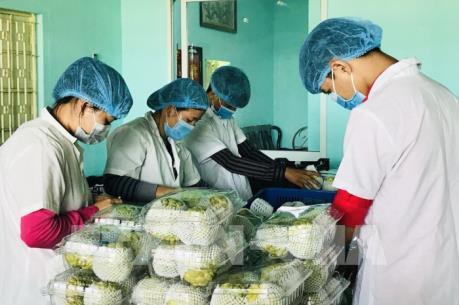 Xây dựng thương hiệu cho trái mãng cầu Bà Đen