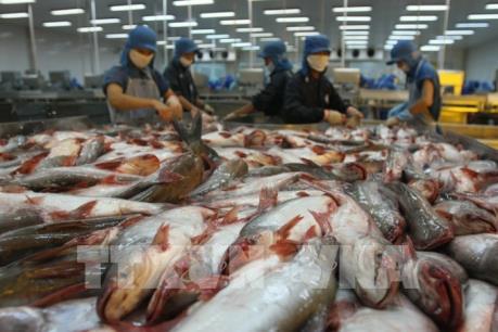 Những thách thức cho thủy sản Việt Nam những tháng cuối năm