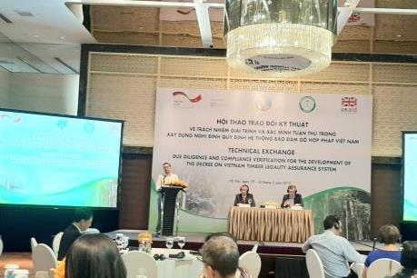 Xây dựng quy định hệ thống đảm bảo gỗ hợp pháp Việt Nam