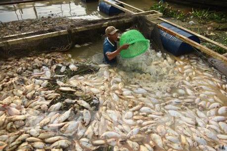 Kết luận những sai phạm về môi trường của Công ty Trách nhiệm hữu hạn AB Mauri Việt Nam