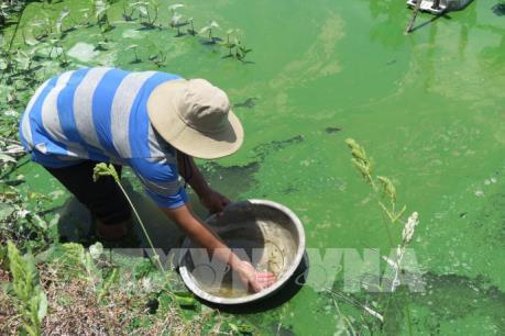 Chuyển hướng trong mùa lũ - Bài 2: Linh động sinh kế