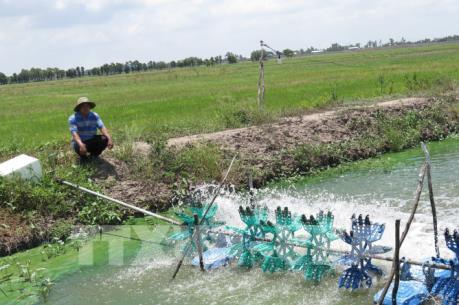 Đồng bằng sông Cửu Long đối mặt với nguy cơ hạn hán và xâm nhập mặn