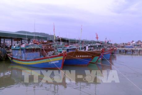 Ứng phó kịp thời với áp thấp nhiệt đới gần bờ
