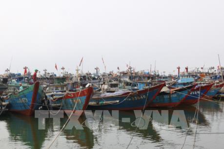 Theo dõi chặt 2 áp thấp nhiệt đới để chủ động ứng phó