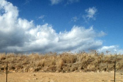 Australia tuyên bố tình trạng khẩn cấp y tế do biến đổi khí hậu