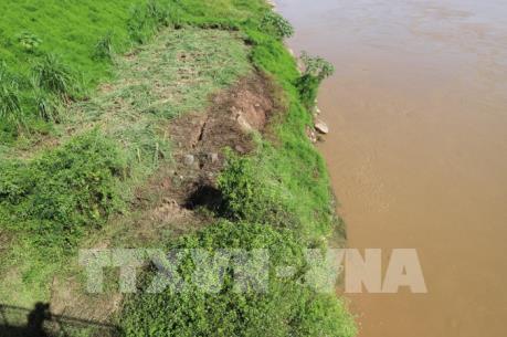 Sạt lở đê uy hiếp công trình Trạm bơm xã Bản Nguyên