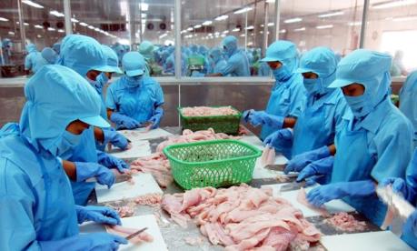 Vĩnh Hoàn muốn mua 2 triệu cổ phiếu quỹ