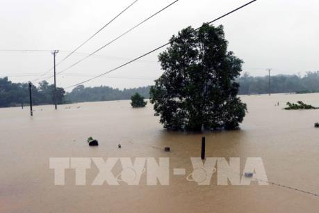 Thủ tướng quyết định xuất cấp gạo hỗ trợ nhân dân vùng lũ