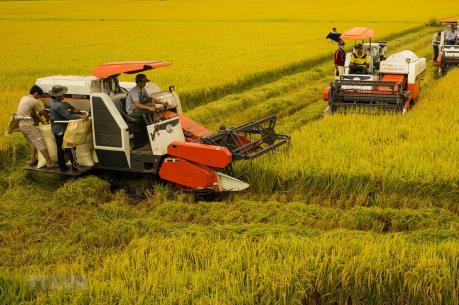 Thủ tướng ra Chỉ thị về phát triển bền vững đồng bằng sông Cửu Long