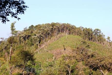 Quản lý đất nông, lâm trường - Bài 1: Giải bài toán tranh chấp, lấn chiếm đất đai