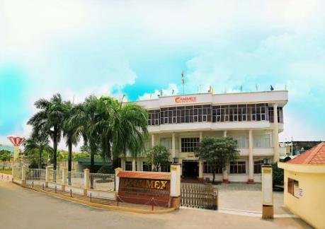 Camimex phát hành cổ phiếu cho cổ đông tỷ lệ 1:1