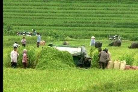 Lào Cai thu hồi chứng nhận 3 sản phẩm OCOP