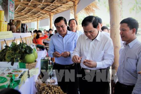 Gần 365.000 tỷ đồng xây dựng nông thôn mới tại vùng Duyên hải Nam Trung Bộ và Tây Nguyên