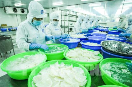 Xuất khẩu Việt Nam sang thị trường Séc và EU tiếp tục tăng