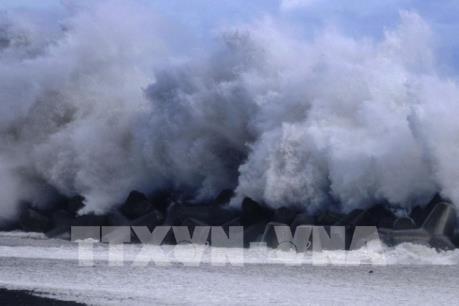 Siêu bão Faxai khiến giao thông Nhật Bản tê liệt