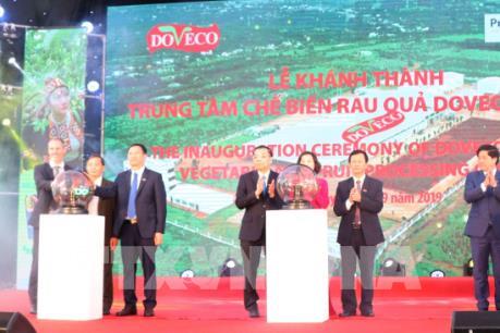 Khánh thành Trung tâm chế biến rau quả Doveco Gia Lai lớn nhất Tây Nguyên