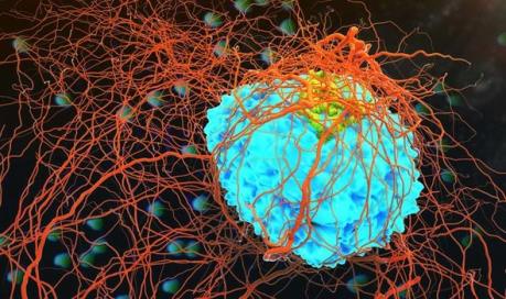 Phương pháp mới phát hiện sớm và chẩn đoán các bệnh ung thư