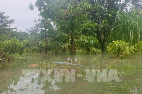 Xây dựng thủy điện Quảng Tín gây nên tình trạng ngập lụt