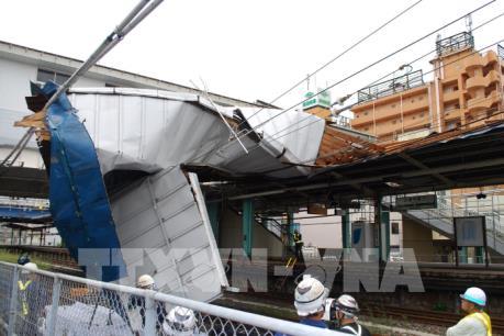 Nhật Bản: Hàng chục người bị thương do siêu bão Faxai