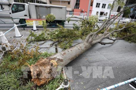 Nhật Bản khắc phục hậu quả nặng nề của siêu bão Faxai