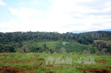 Nhiều sai phạm tại dự án đầu tư sản xuất nông lâm nghiệp tại Đắk Nông