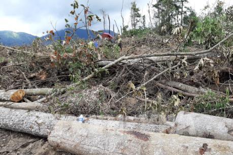 Phát hiện vụ phá rừng ở huyện Đam Rông, Lâm Đồng